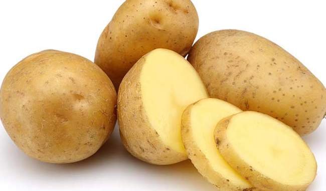 Good Quality Potato
